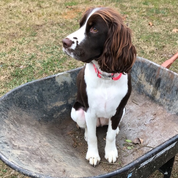 Meet Me! - Picture 2 of 2